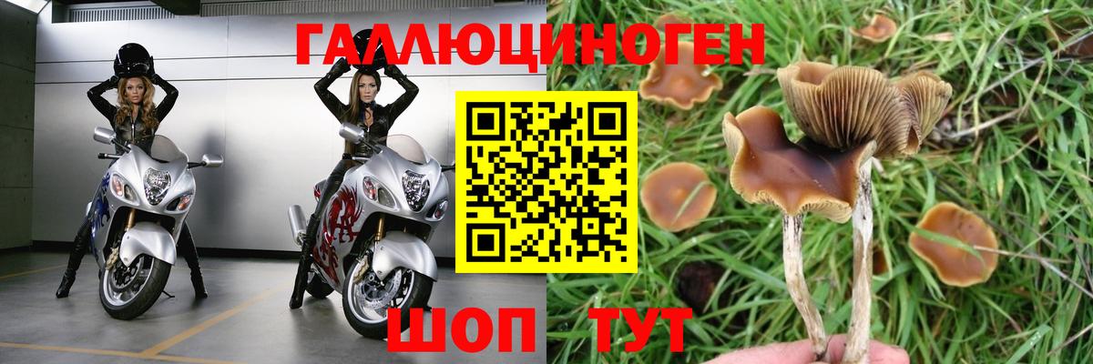 Псилоцибиновые грибы мухоморы  Псилоцибиновые грибы Psilocybe  купить наркоту  Вход с VPN  Азнакаево 